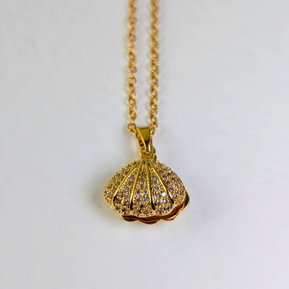 Sea Shell with Pearl