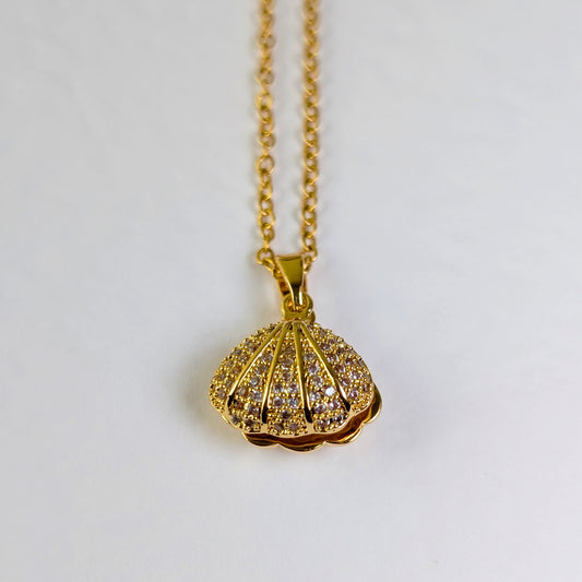 Sea Shell with Pearl